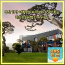 이디야커피경북하양점 | 경산하양가볼만한곳추천 하양송송제빵소 대형베이커리카페주차 데이트장소추천 내돈내산