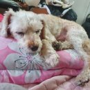 비트켄넬 이미지