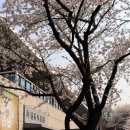 부천시 견인차량보관소 이미지