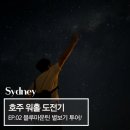 [호주 워홀 도전기] EP.02 시드니 블루마운틴 별보기 투어, 평생 잊지 못할 밤 (비용, 코스, 준비물)