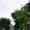 오리온사원아파트 네이버블로그