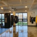 팀엑스복싱 이미지