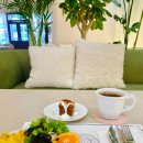 마르샤 | [일산 식사동 브런치] 6천원의 행복! 가성비 끝판왕 '마르샤' 샐러드바 이용 후기