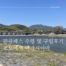[교토/일본] 교토 아라시야마 여행 한큐패스 구입 및 교환후기 (+교토에서 난바)