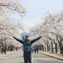 보문호반길 이미지