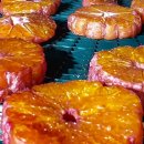 오명석농장 이미지