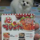 빨간너구리 이미지