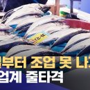 "내일부터 조업 못 나가요"..수산업계 줄타격 (2023.08.23/뉴스데스크/포항MBC) 이미지