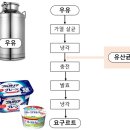 발효의 책 12 약간 시큼한 것은 유산균 때문에 이미지