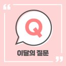 뿌리 철학B 이미지