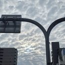 💚.U🌞🧸유태양아~오늘도 사랑해 💚. 이미지