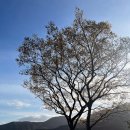 윤돌커피 이미지