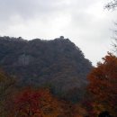 양산 송죽 제120차 정기산행 [내장산] 이미지