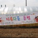 텃밭과동행