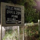 펠리스빼로 이미지