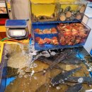 천우수산 이미지