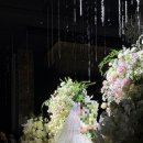 호텔앙코르 이미지