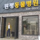 원평동물병원 이미지