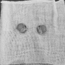 구포동물병원 이미지