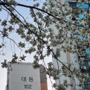 경희형제한의원 이미지