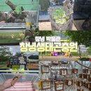 창녕박물관 | 창녕 곤충박물관 창녕생태곤충원 방문한 후기 강추