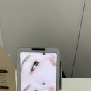 늘;봄뷰티 | 짧은 속눈썹도 또렷하게, 서초속눈썹펌 마이봄뷰티 후기