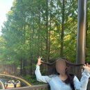 에버랜드 4월 주말 후기, 꿀팁, 에버랜드 놀이기구 추천, 인기 놀이기구 대기시간 | BBQ 치콜 | 푸바오...