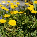 종명랜드 이미지