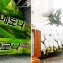 아이스크림박사 - 의정부시 오목로 252 | 아이스크림박사