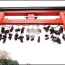 교1세천 | 양조의 신을 모신 송미대사 (松尾大社, 마쓰오타이샤)