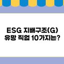 글로벌기업으로 가는 준법경영, 컴플라이언스 | Governance) 분야 유망 직업 10가지 - ESG 전략 기획자, 윤리 경영 컨설턴트, 기업 거버넌스 전문가 등