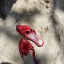 뉴로아트 이미지