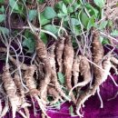 당감4동-18 이미지