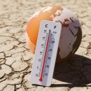 기타(플라스틱칩) 이미지