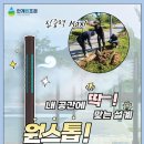 안개핀조경(주) - 18620 | 안개핀조경(주)