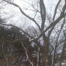 운학동 돌무지 Daum카페