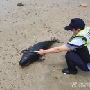 송정솔바람해변 이미지