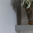 광양한의원 이미지