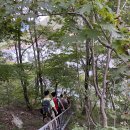 군산스포츠클라이밍센타