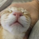 비디오앤드북클럽 | 윤정아윤정아 왜요쌤왜요쌤 일상글빨리올리랬지죄송해요쌤