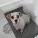 오구오구살롱 이미지