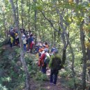 울진건어물 이미지