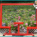 초안산 하늘꽃정원 이미지