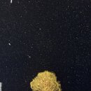 UR(원주시)-[운동들2길]-하-2 | [1월 3주차] 보드배우기 &amp; 인사이동 !!