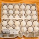 신선식품 | gs25 편의점 신선식품 초란 가격 구매 후기