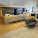 하운드 송정 이미지