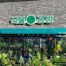 플랜틱아카데미