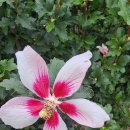 오천그린광장 이미지