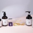 월드메디 이미지