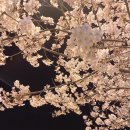 구룡수산활어회쎈타 이미지